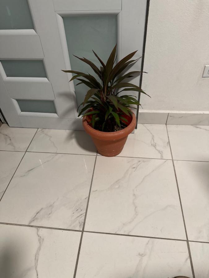 Second Floor 2Br Apt In The Center Of Santurce Apartment San Juan Luaran gambar